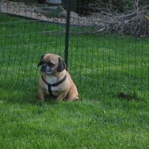 Meet your Posher, Judy